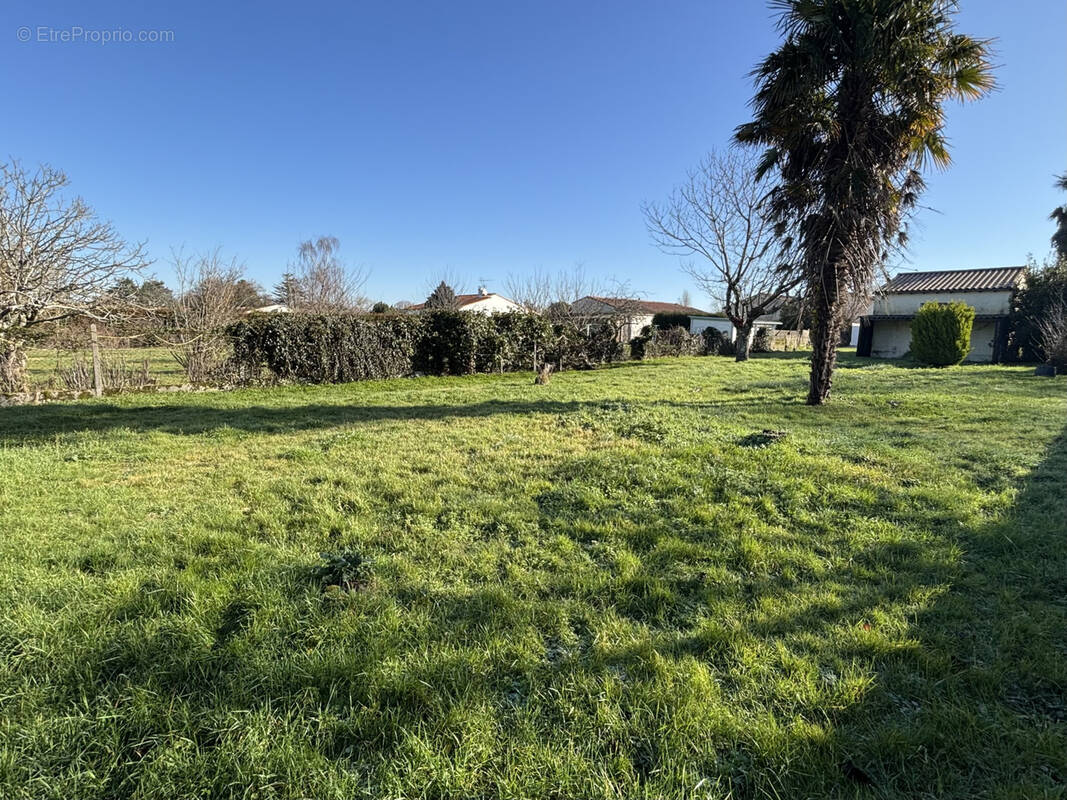 Terrain à SAINT-PALAIS-SUR-MER