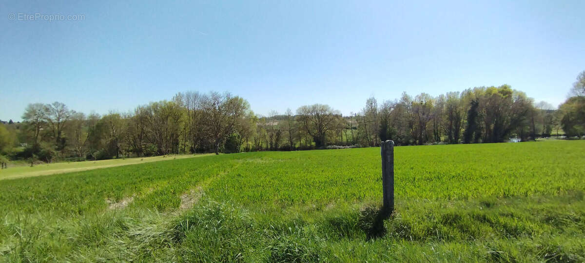 Terrain à MARTIZAY