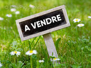 Terrain à LE TAMPON