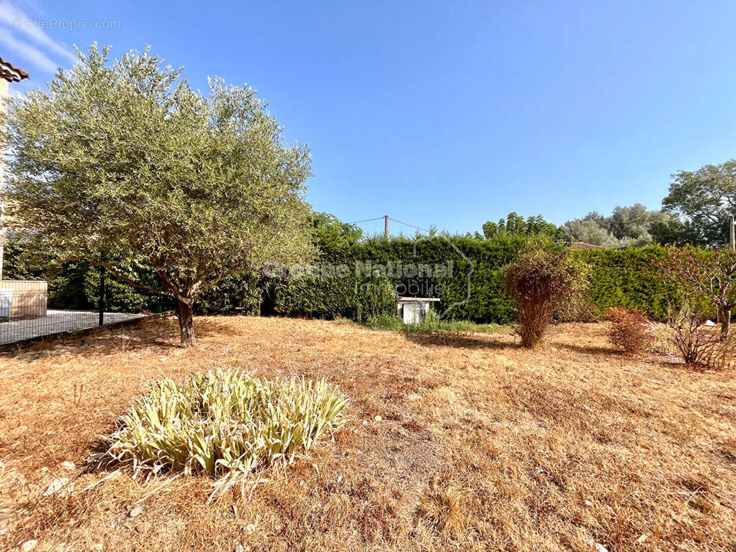 Terrain constructible de 755 m2 libre constructeur - photo 4