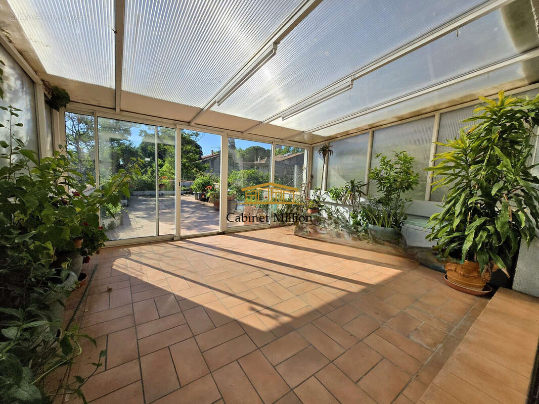 Maison à FRONTIGNAN