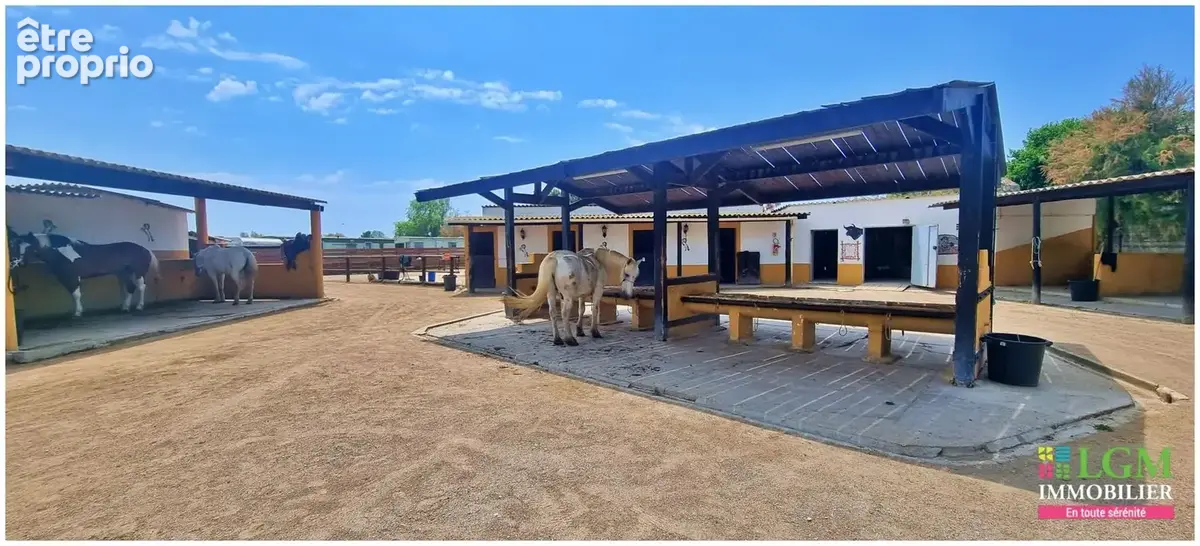 En exclusivité à vendre : RANCH - Le Grau du Roi - Terrain et infrastructure - photo 6