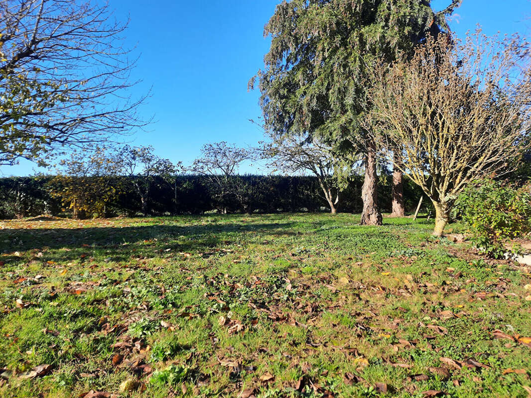 Maison à SANDARVILLE