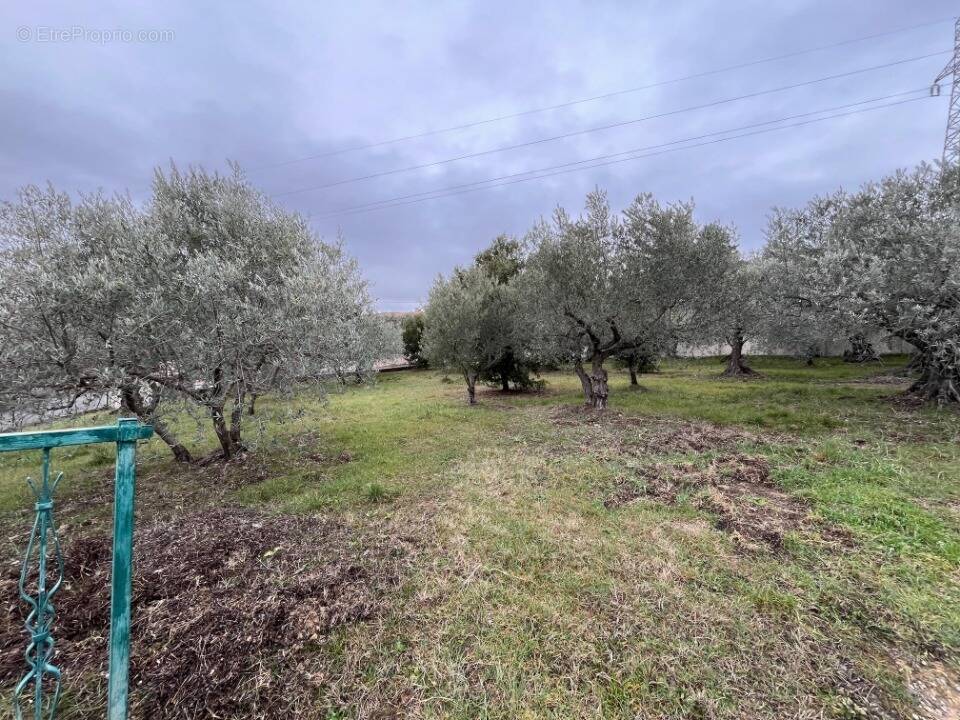 Terrain à MANOSQUE