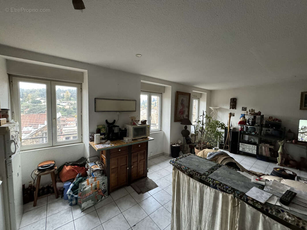 Appartement en duplex ANNONAY centre-ville - photo 3