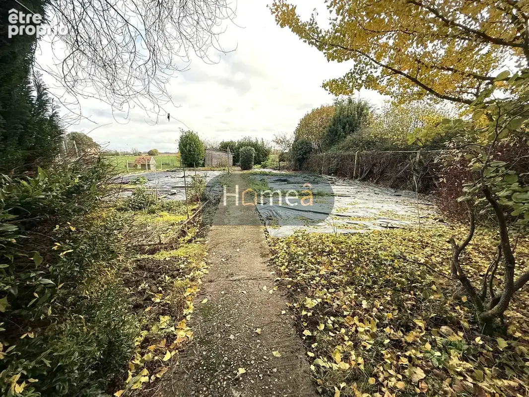 Maison 4ch axe doudeville - yerville - photo 9
