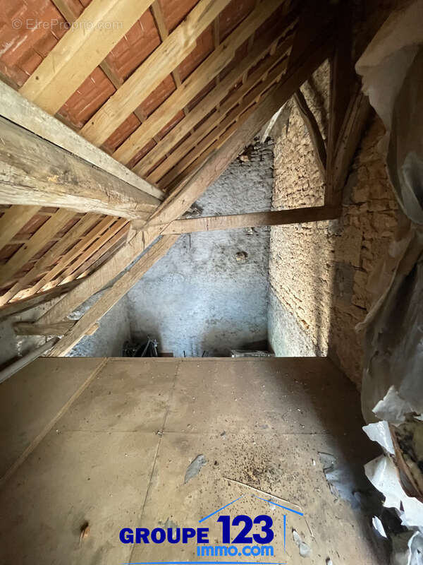 Maison double sur les hauteurs de Clamecy (58) de plus de 180 m2 - photo 24