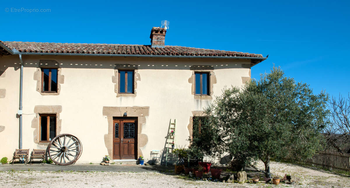 Propriété exceptionnelle, ferme ancienne rénovée, gîte, vue incroyable sur la chaîne des Pyrénées - photo 6