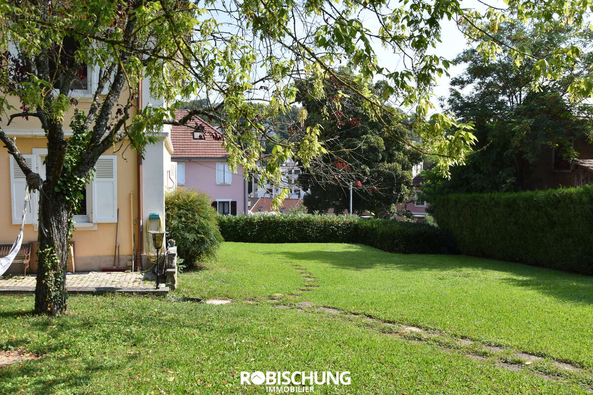 ALTKIRCH : Appartement dans maison de maître - photo 3