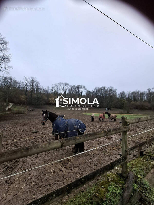 Le milieu naturel - Maison à FONTAINEBLEAU