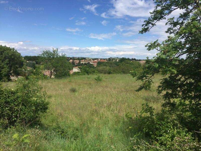 Terrain 375 m² à Montagnac  - photo 2