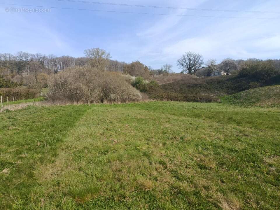 Terrain à CORNEVILLE-SUR-RISLE