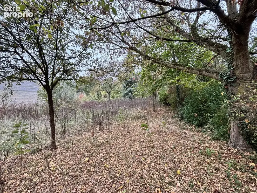 Vente Terrain Presles-et-thierny(02860) 55 000ï¿œ - photo 1
