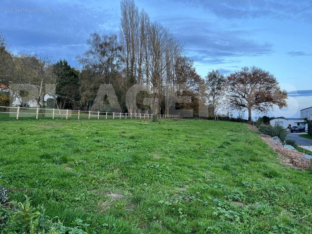 IMG-20251115-WA0005 - Terrain à CHEFFOIS