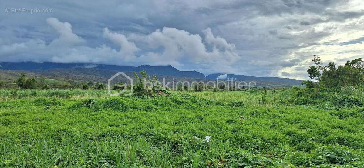 Terrain à BRAS-PANON
