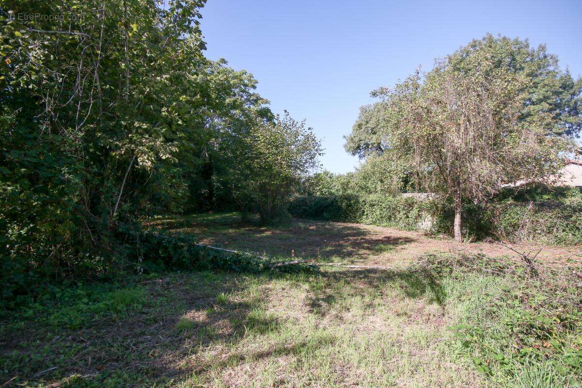Appartement à GOND-PONTOUVRE