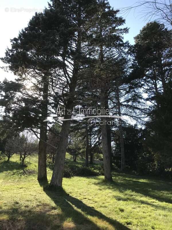 Maison à SAINT-MICHEL-DE-LANES