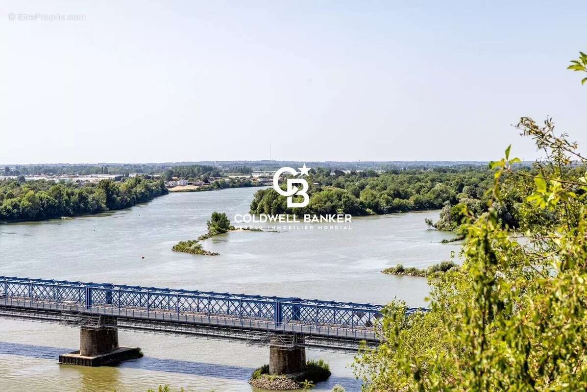 Mauves sur loire propriete d'exception - photo 15
