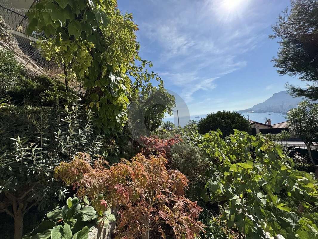 Maison à ROQUEBRUNE-CAP-MARTIN