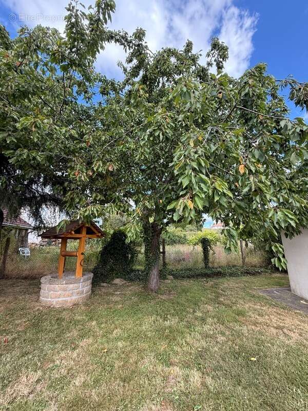EN EXCLUSIVITE ! Pavillon de 114m², sur sous sol,  terrain de 956m2 180 000 € - photo 46