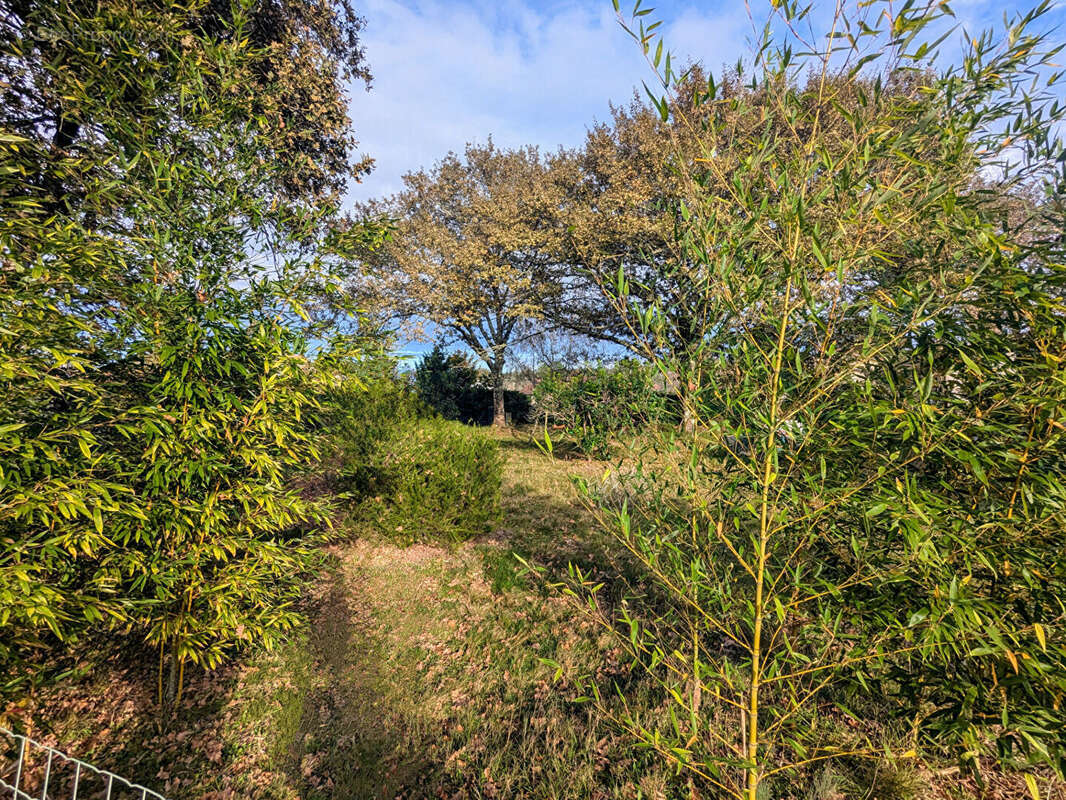 Photo 8 - Maison à ESCOURCE