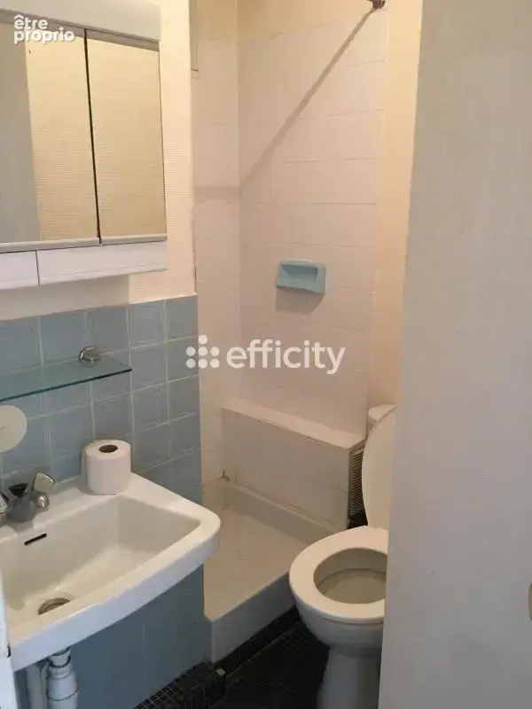 Appartement - photo 6