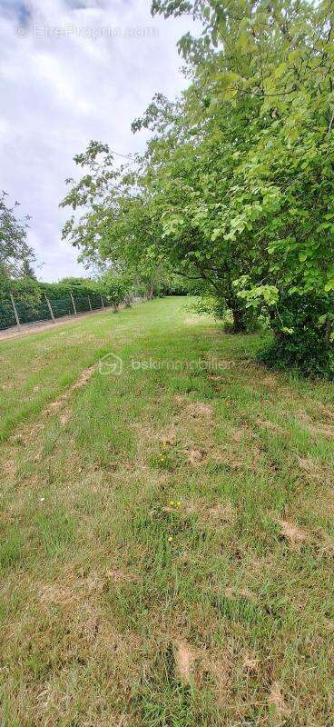 Terrain a Bâtir - photo 2