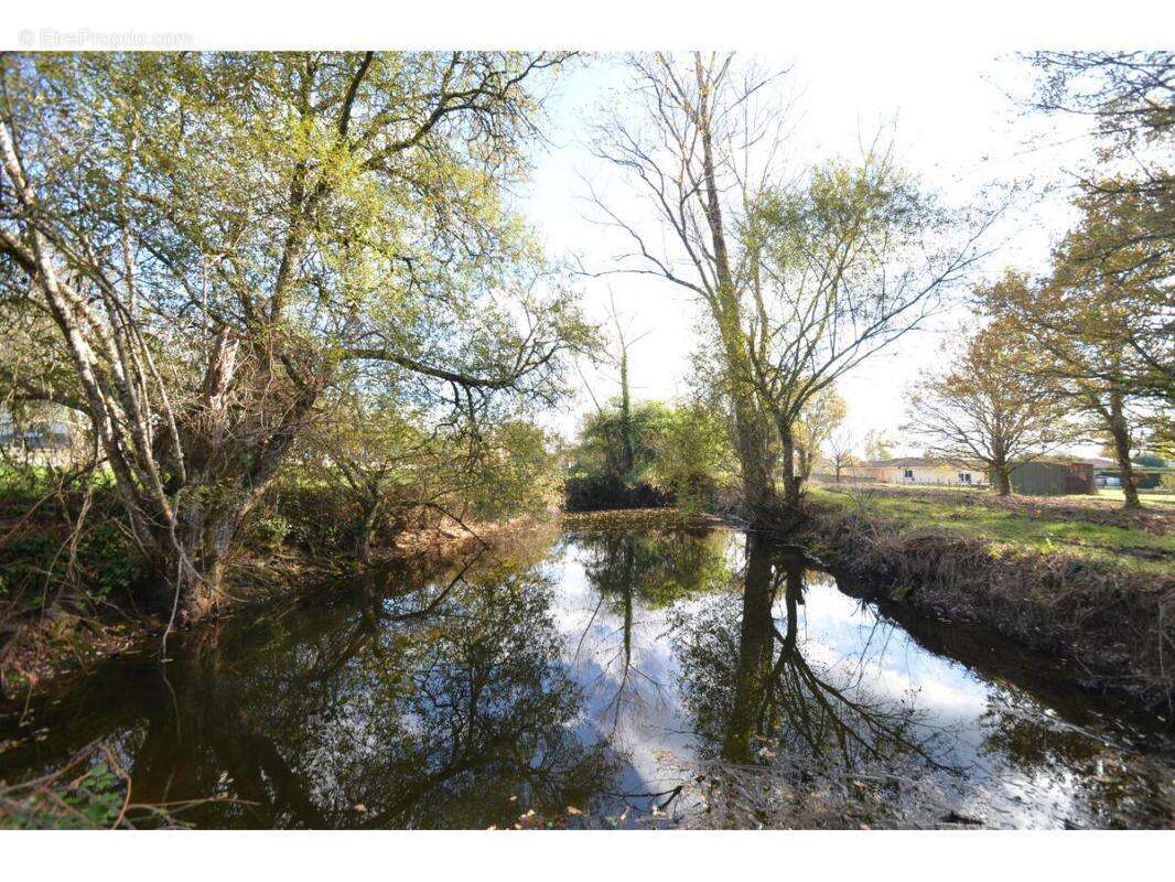 Terrain à PORCHERES