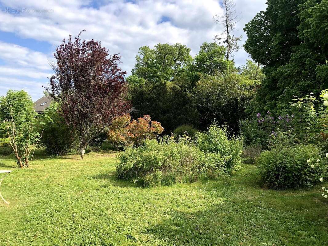 Photo 4 - Maison à SAINT-SULPICE-SUR-RISLE