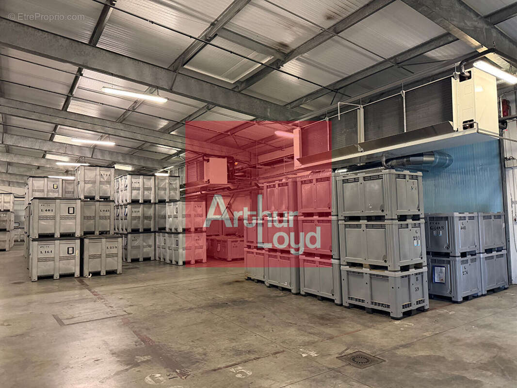 Commerce à LECTOURE