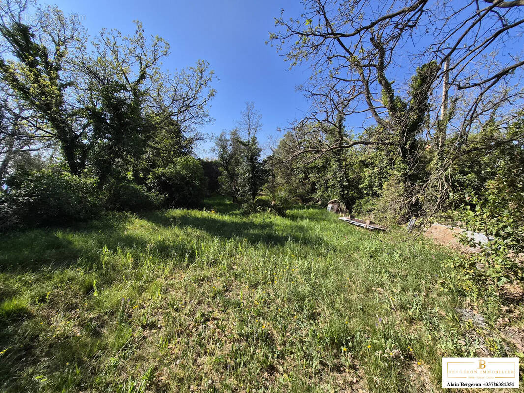 Terrain à SAINT-CEZAIRE-SUR-SIAGNE