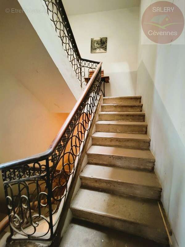 Maison à SAINT-ANDRE-DE-VALBORGNE