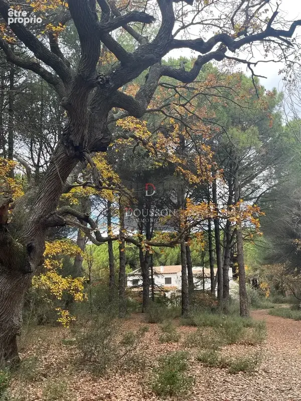 À vendre   mas sur 1,3 hectare   aigues-mortes - photo 2