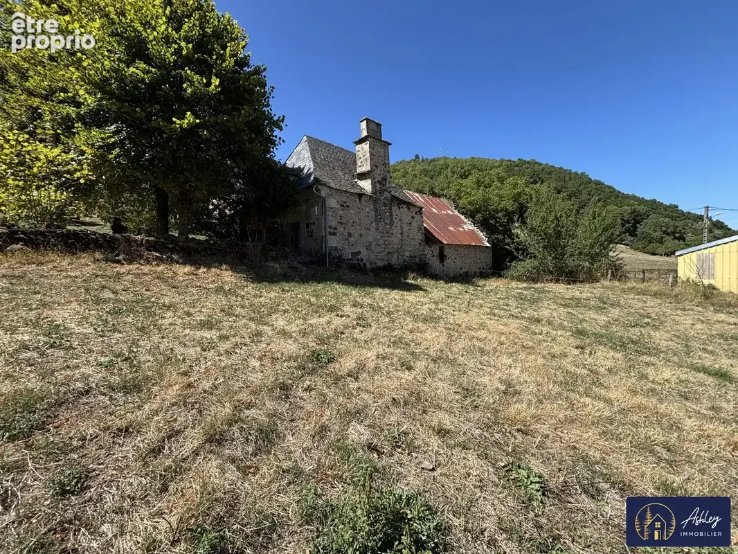 Maison 1 pièce - MENET (Cantal) 