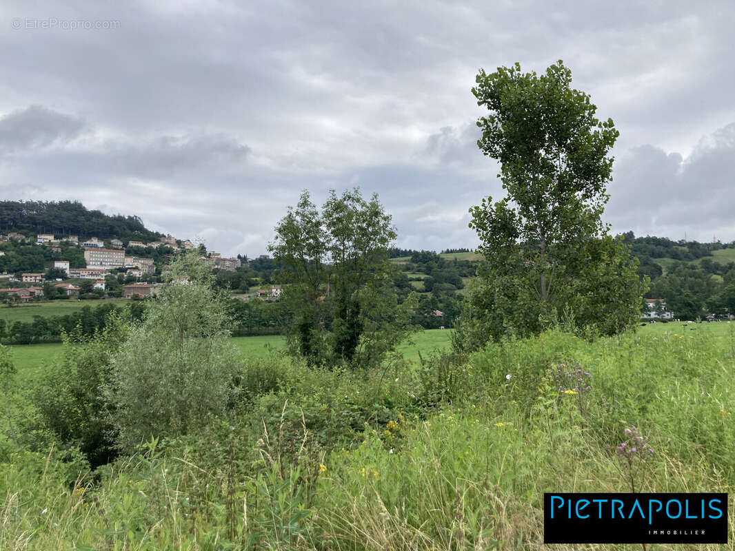 Terrain 3560 m² à Saint-Genest-Lerpt  - photo 3