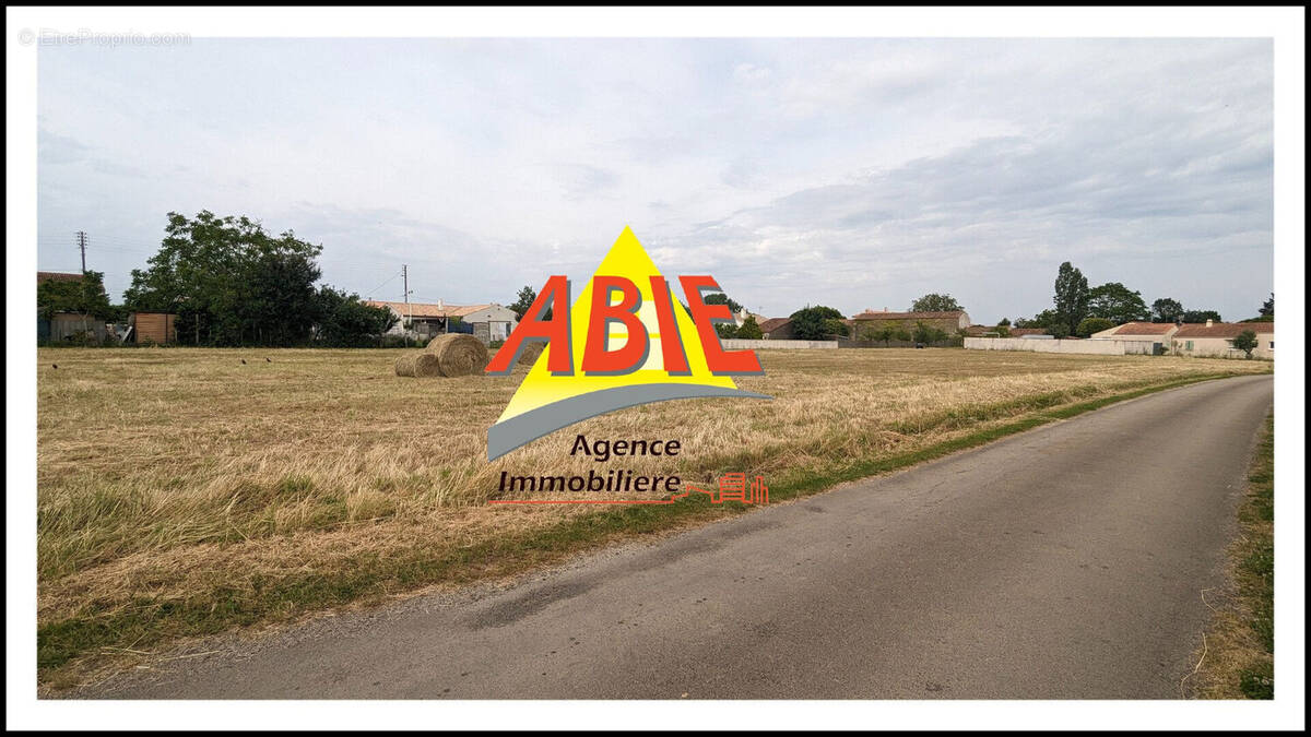 Photo 1 - Terrain à MAILLE