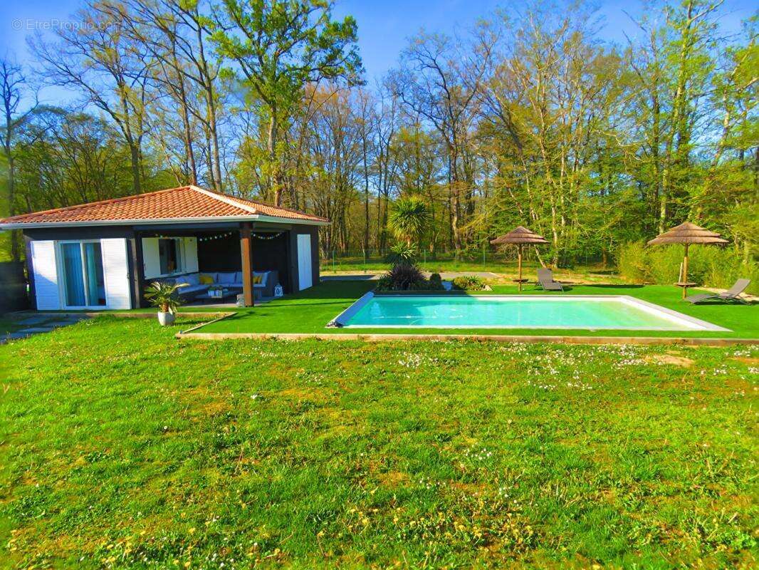Belle maison familiale récente avec piscine sur grand jardin avec vue forêt à Camarsac - photo 9