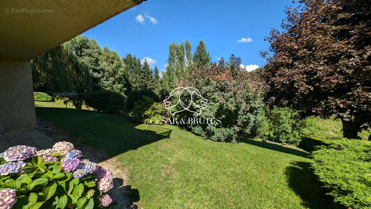 Maison 6 pièces 206 m² à vendre à Allegre (43270) - photo 4