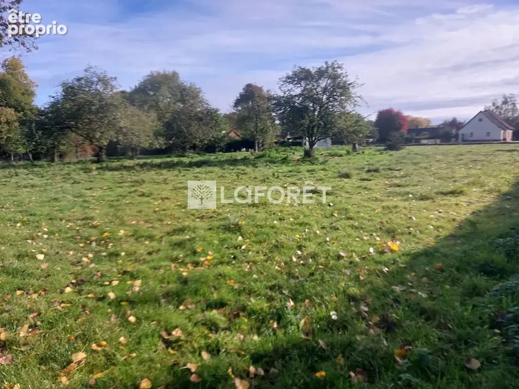 Terrain à FROHEN-LE-GRAND