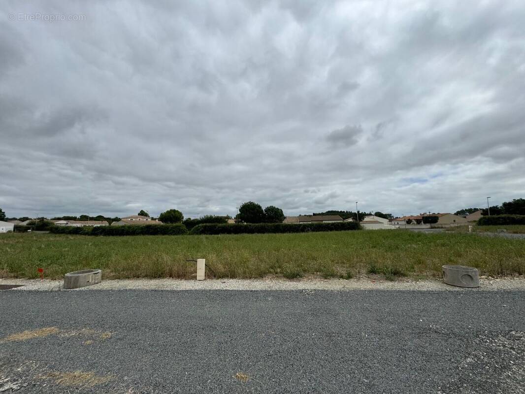 Terrain à SURGERES