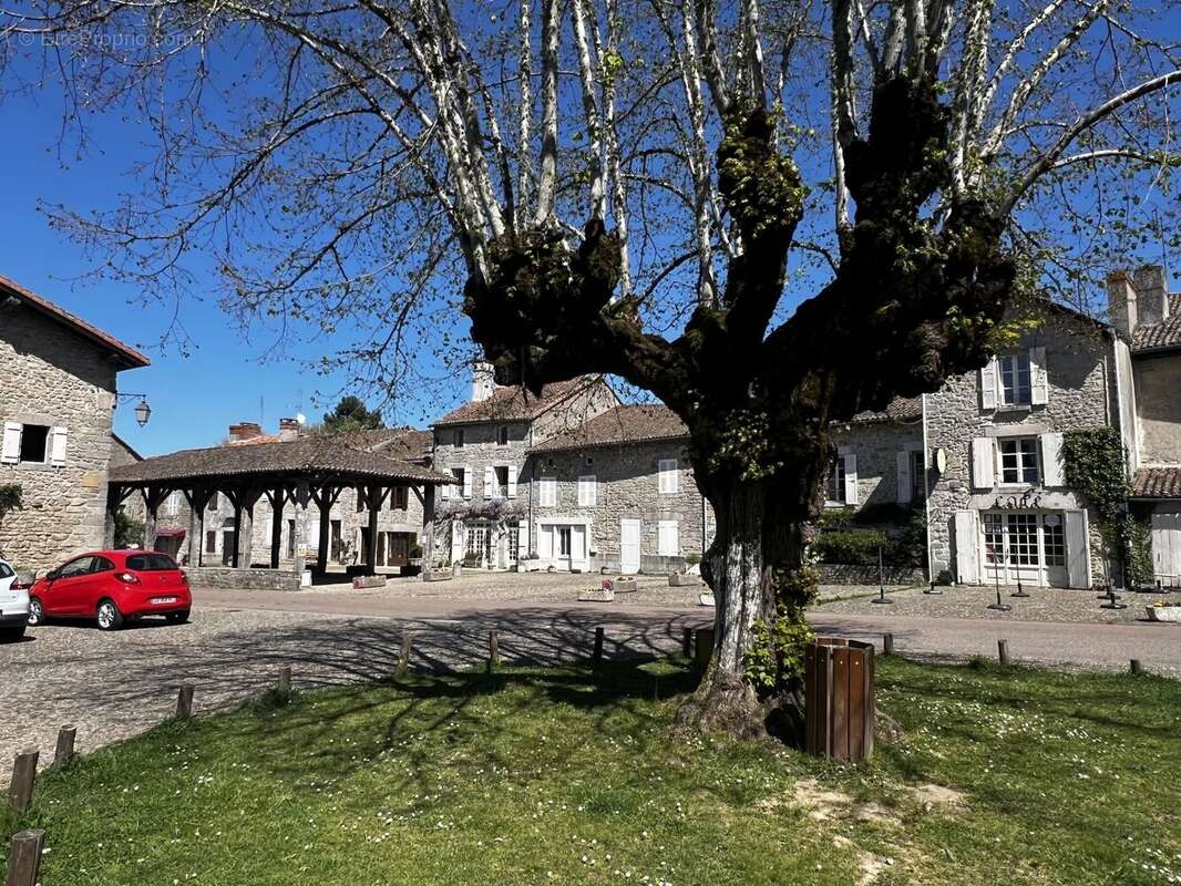 Commerce à MORTEMART