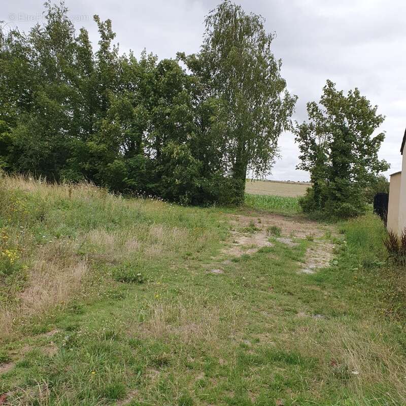 Terrain 544 m² à Athies  - photo 2