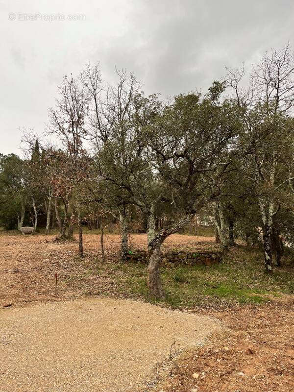 Terrain à VIDAUBAN