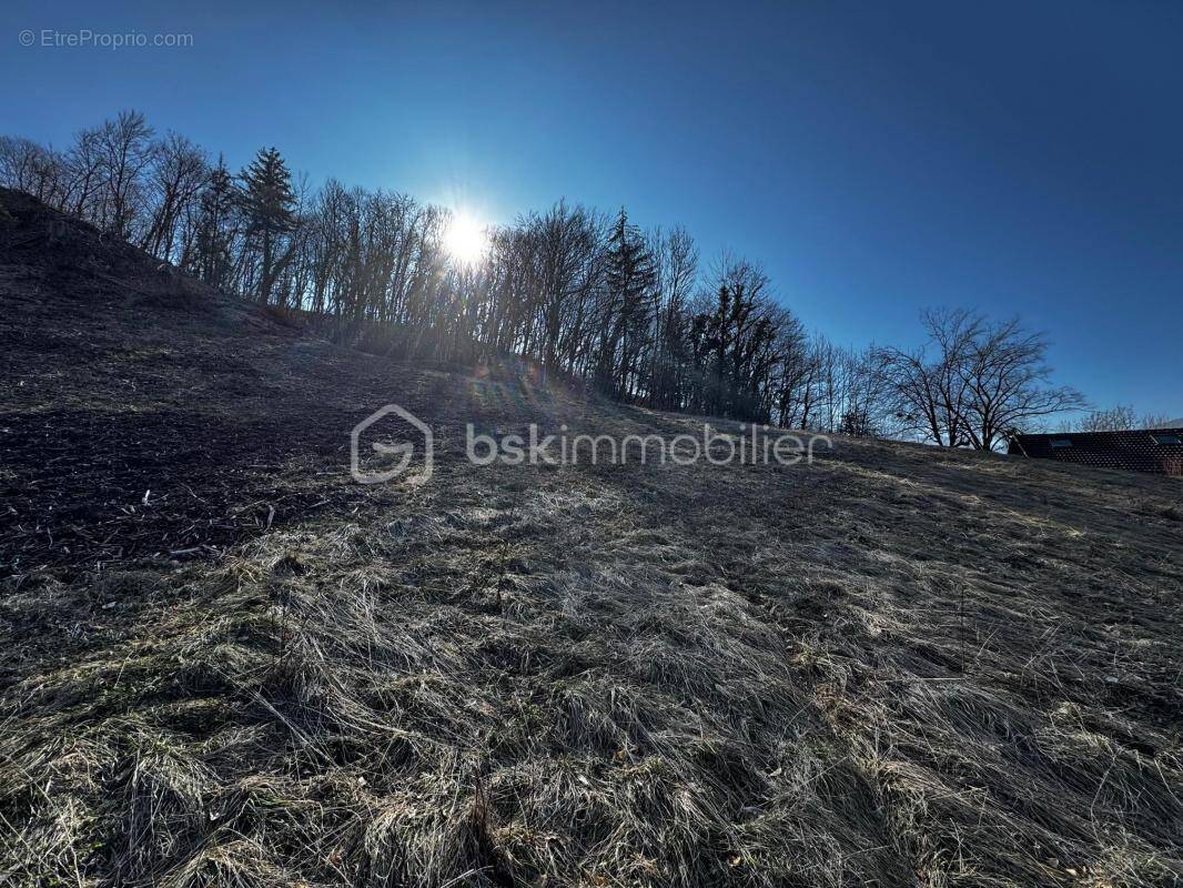 Terrain à QUAIX-EN-CHARTREUSE