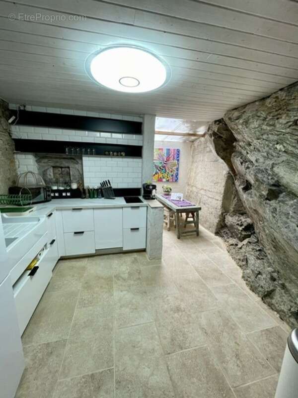 Maison à VIEILLEVIE