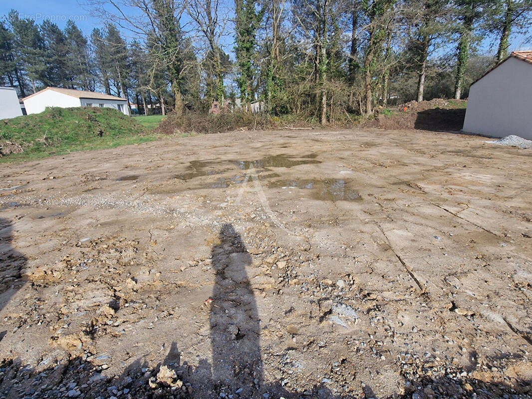 Terrain à TALMONT-SAINT-HILAIRE
