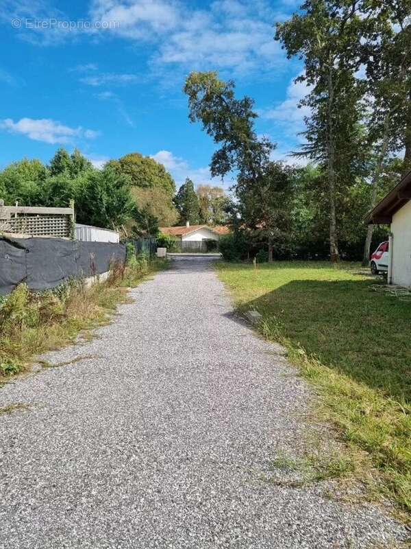 Terrain à BENESSE-MAREMNE