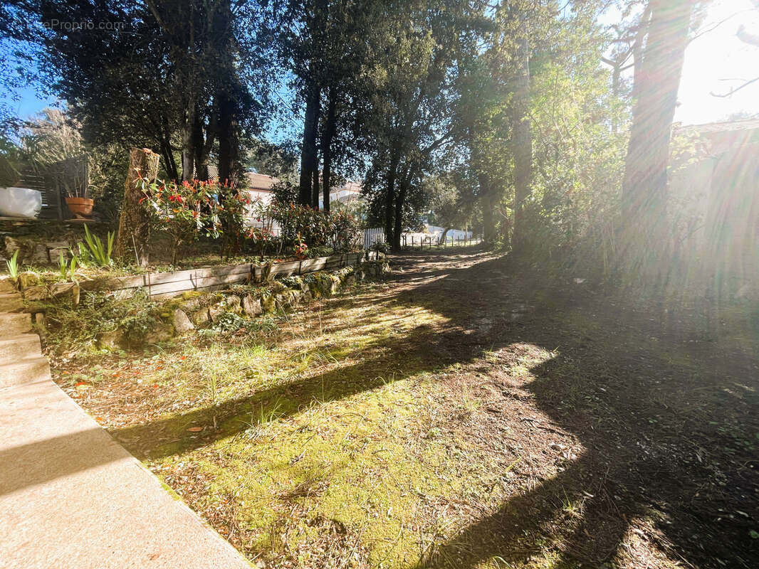 Maison à MESCHERS-SUR-GIRONDE