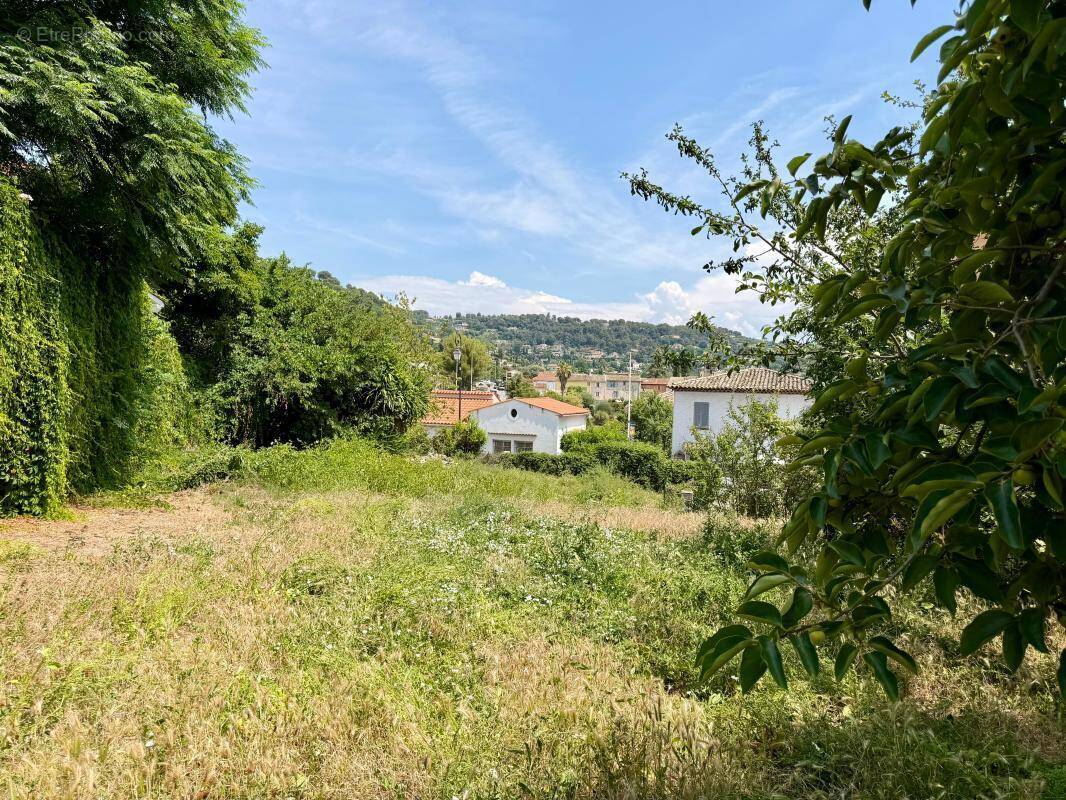 Terrain à LA COLLE-SUR-LOUP