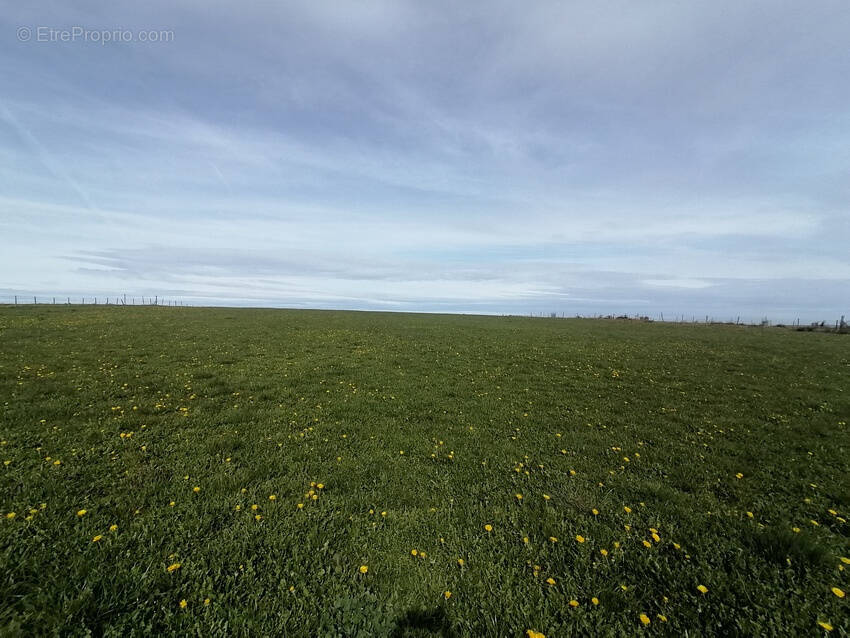 Terrain à BROMONT-LAMOTHE